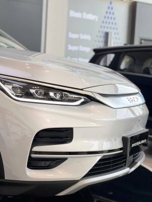 giá xe byd sealion 8 (11)