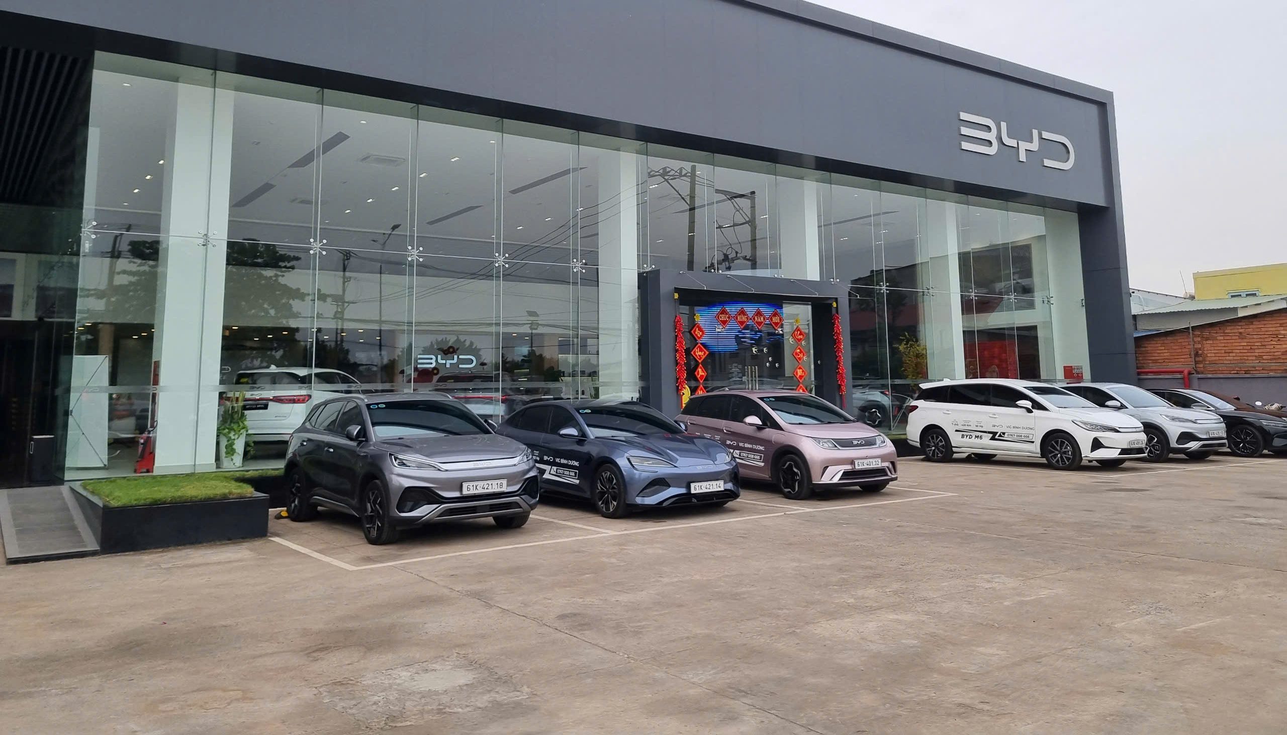 Xe BYD cũ đang được trưng bày tại showroom với nhiều mẫu mã khác nhau