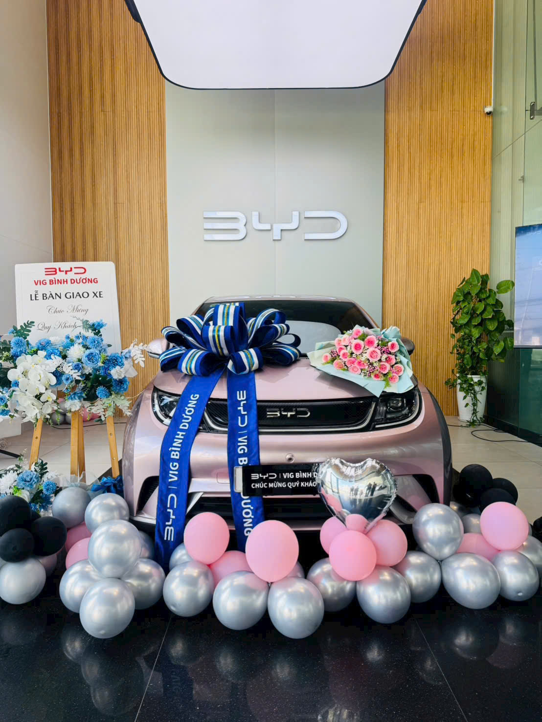 cho thuê xe byd dolphin mới về tay khách hàng (3)