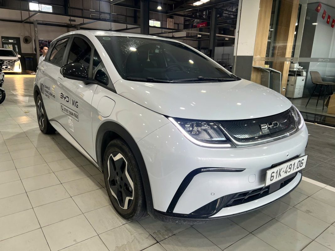 BYD Dolphin 2026 màu trắng Sky White thực tế tại đại lý BYD VIG