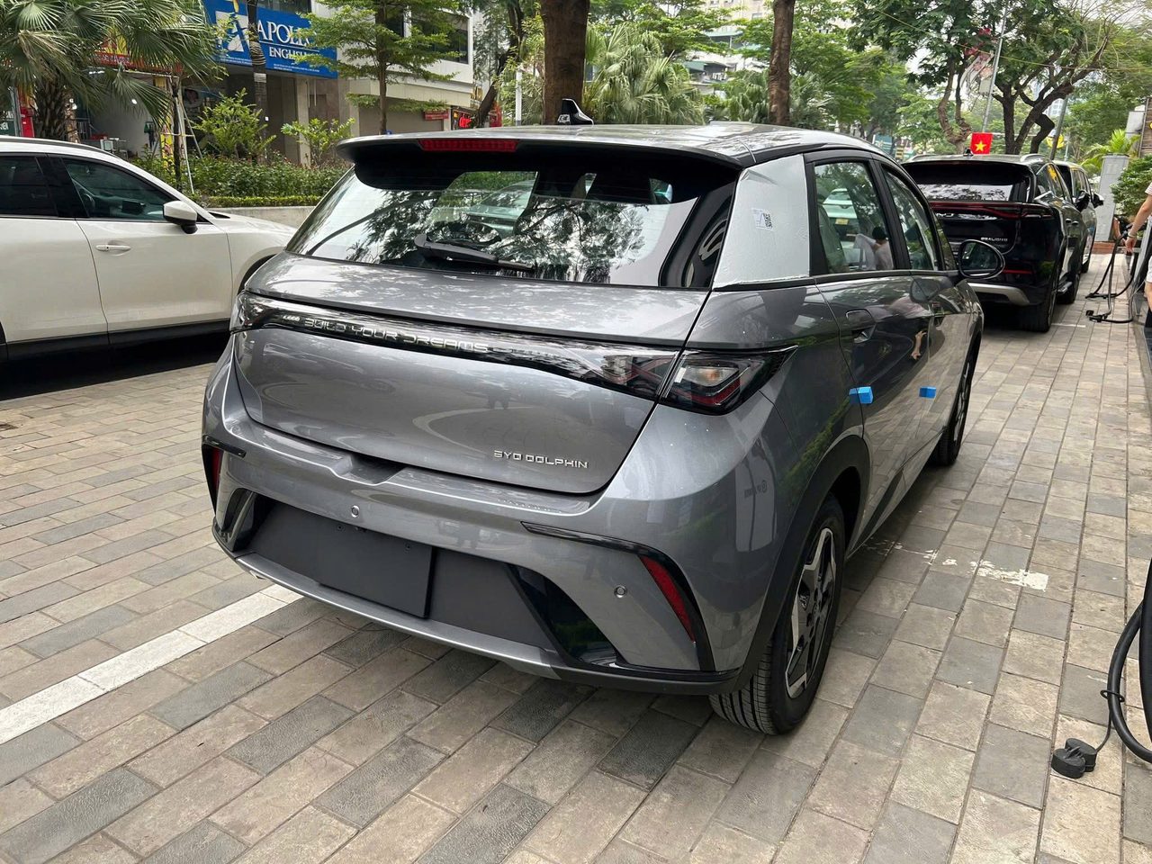 Đuôi xe BYD Dolphin 2026 màu xám chụp thực tế tại showroom