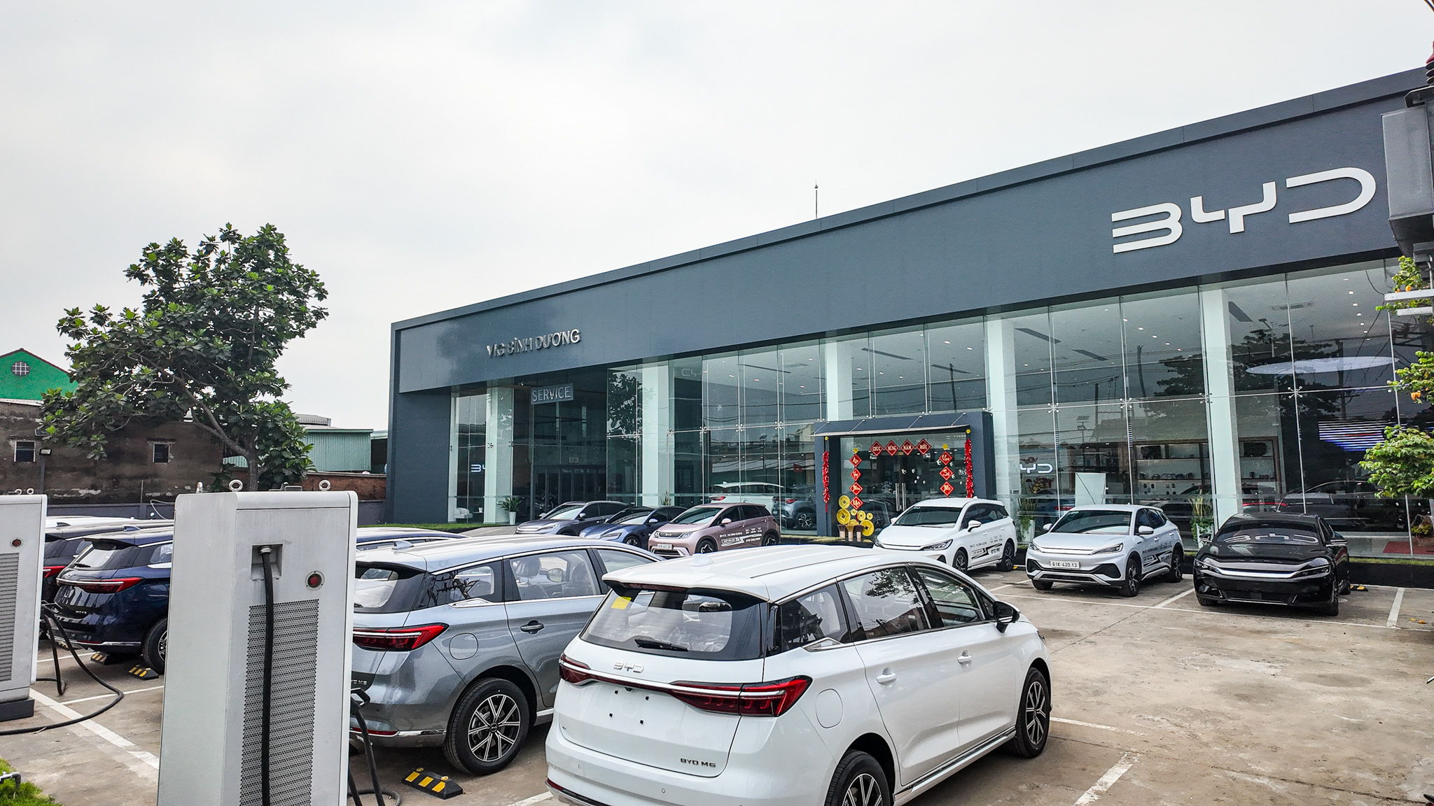 Showroom BYD chính hãng tại Bình Dương trưng bày nhiều dòng xe điện