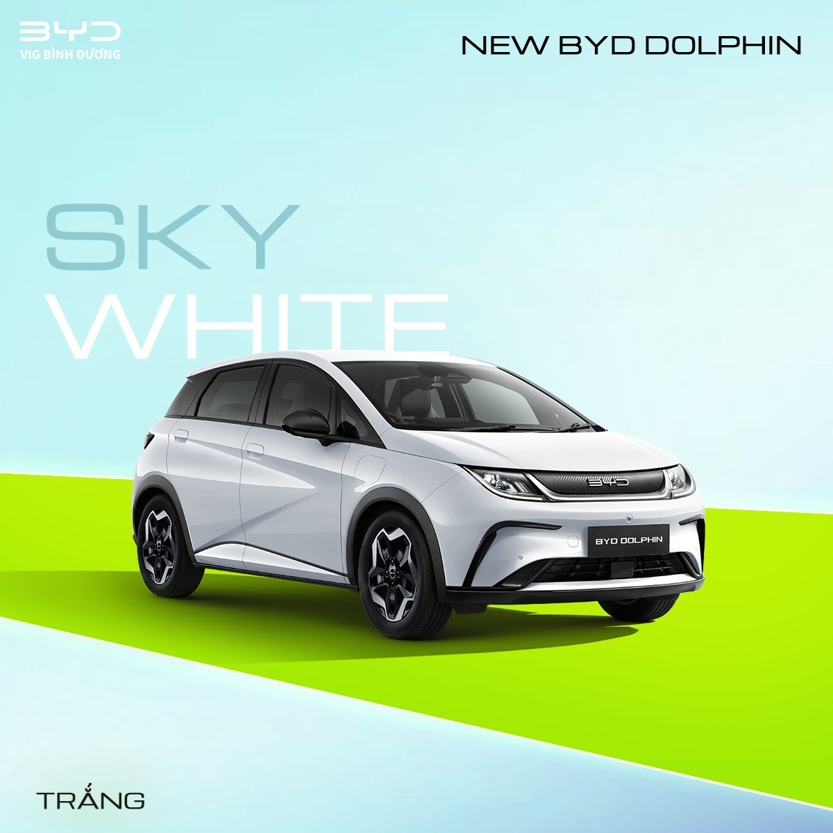 Màu xe BYD Dolphin 2026 Sky White (Trắng)