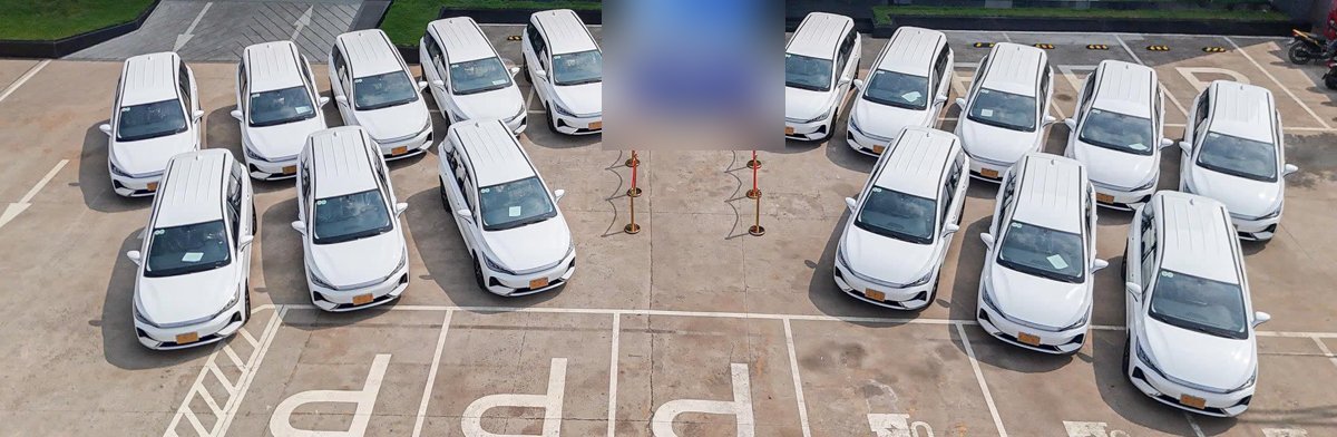 Đoàn xe BYD M6 màu trắng MPV điện 7 chỗ bàn giao cho hãng taxi chạy dịch vụ
